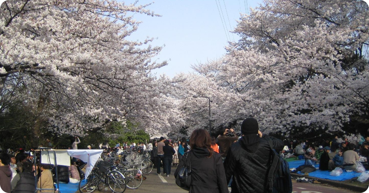 komazawa park