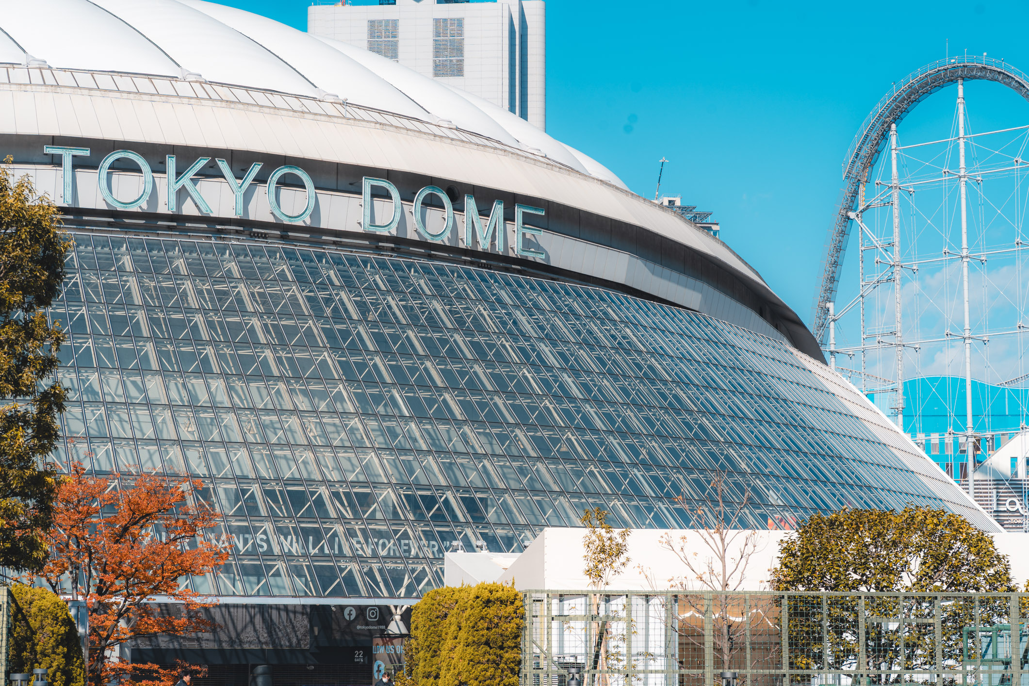 Bunkyo Ward Guide: Tokyo's Hidden Gem & Area Guide