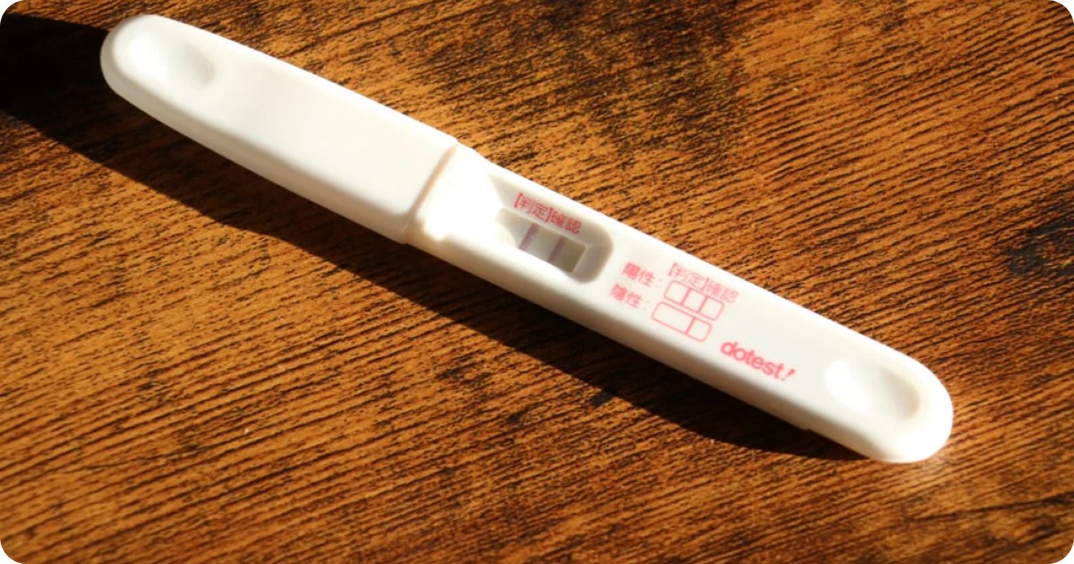 Japanese Pregnancy Test