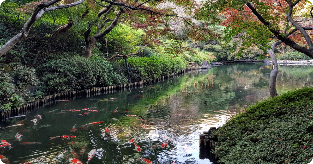 Blog Post images 3.png