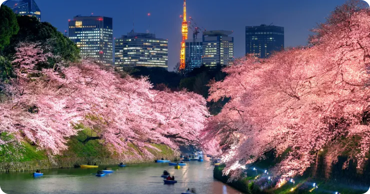 Tokyo Sakura Season 2026: Best Cherry Blossom Spots, Full Bloom Forecast & Viewing Guide