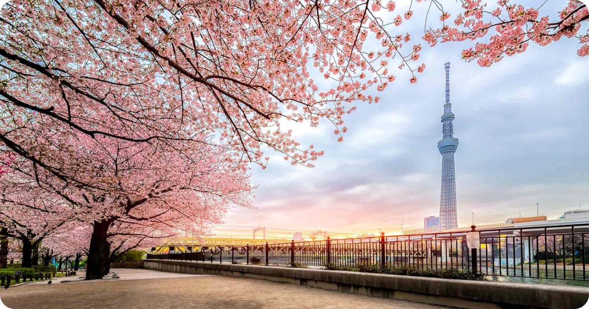 Blog Post images 2.png