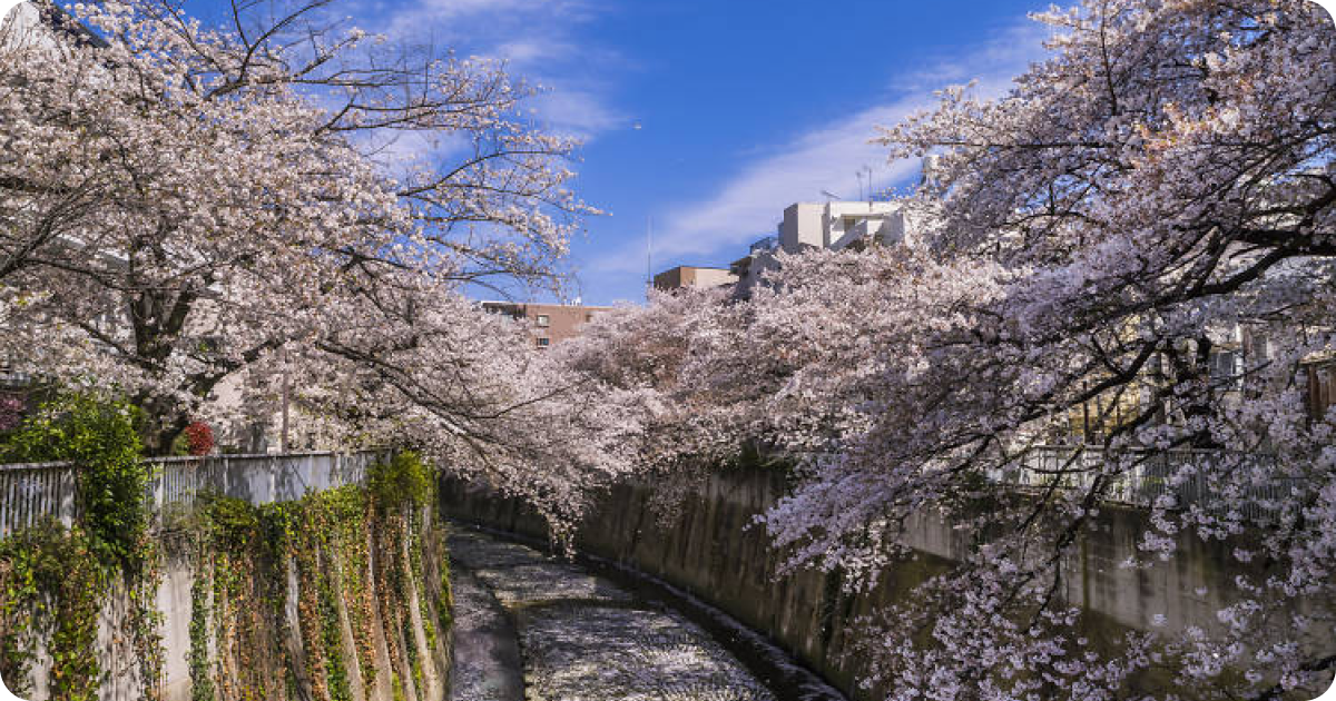 Blog Post images 4.png