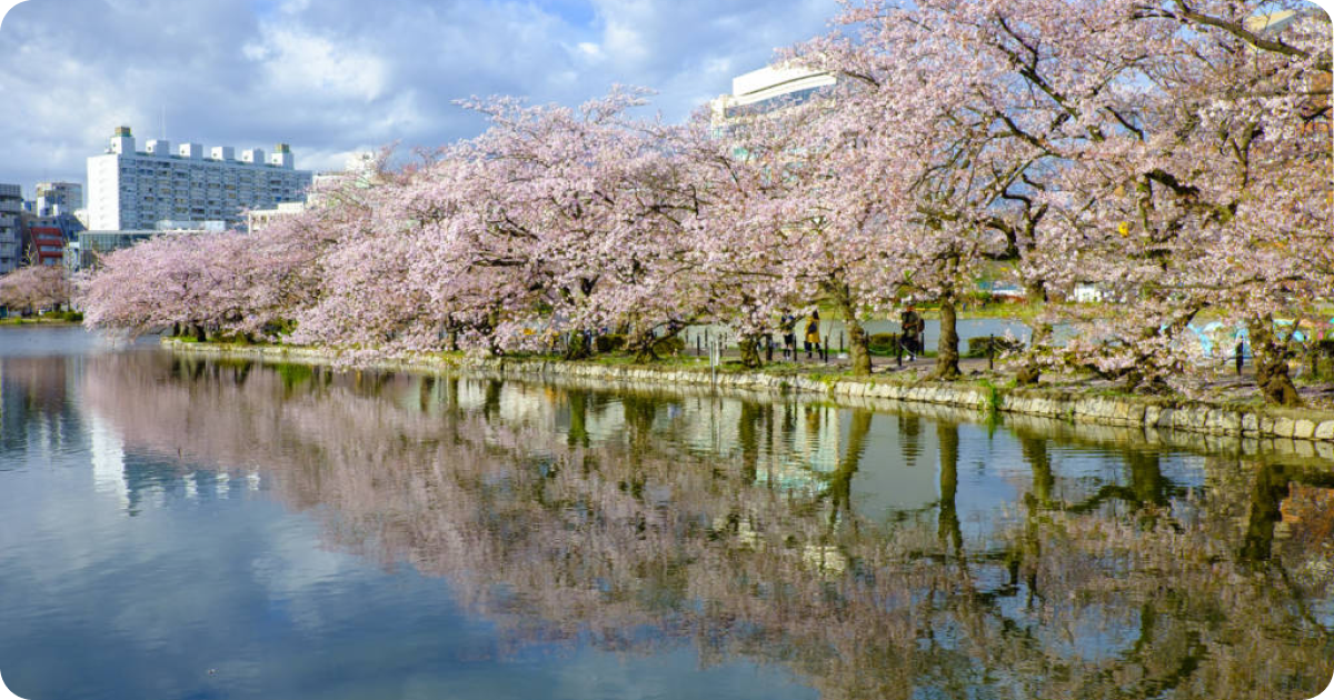 Blog Post images 3.png