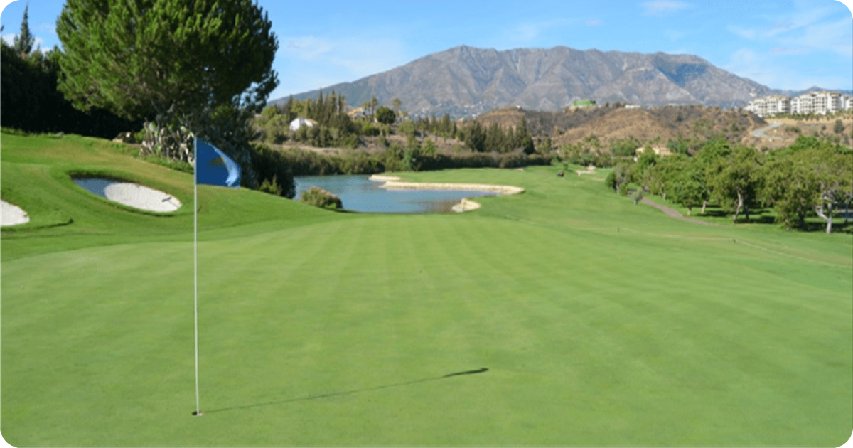 Blog Post images 8.webp