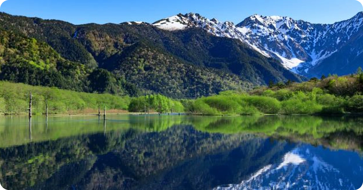 Blog Post images 3.webp