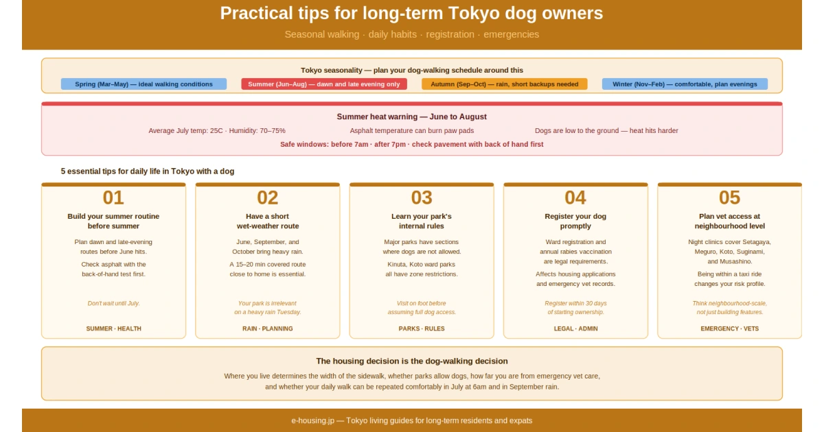 Blog Post images 8.webp