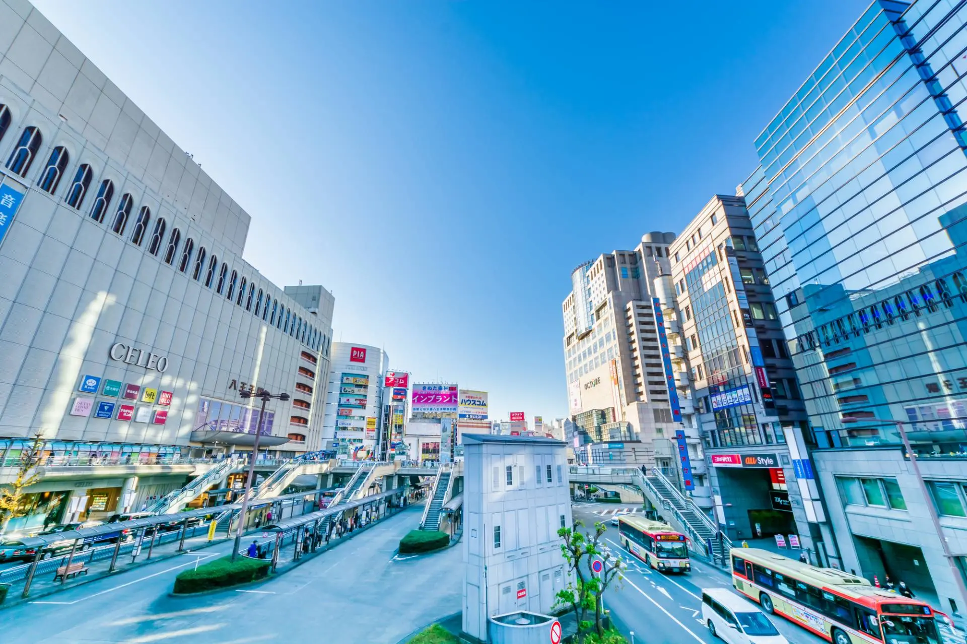 Living in Hachioji, Tokyo: Complete Area Guide for Hachioji City (2026)