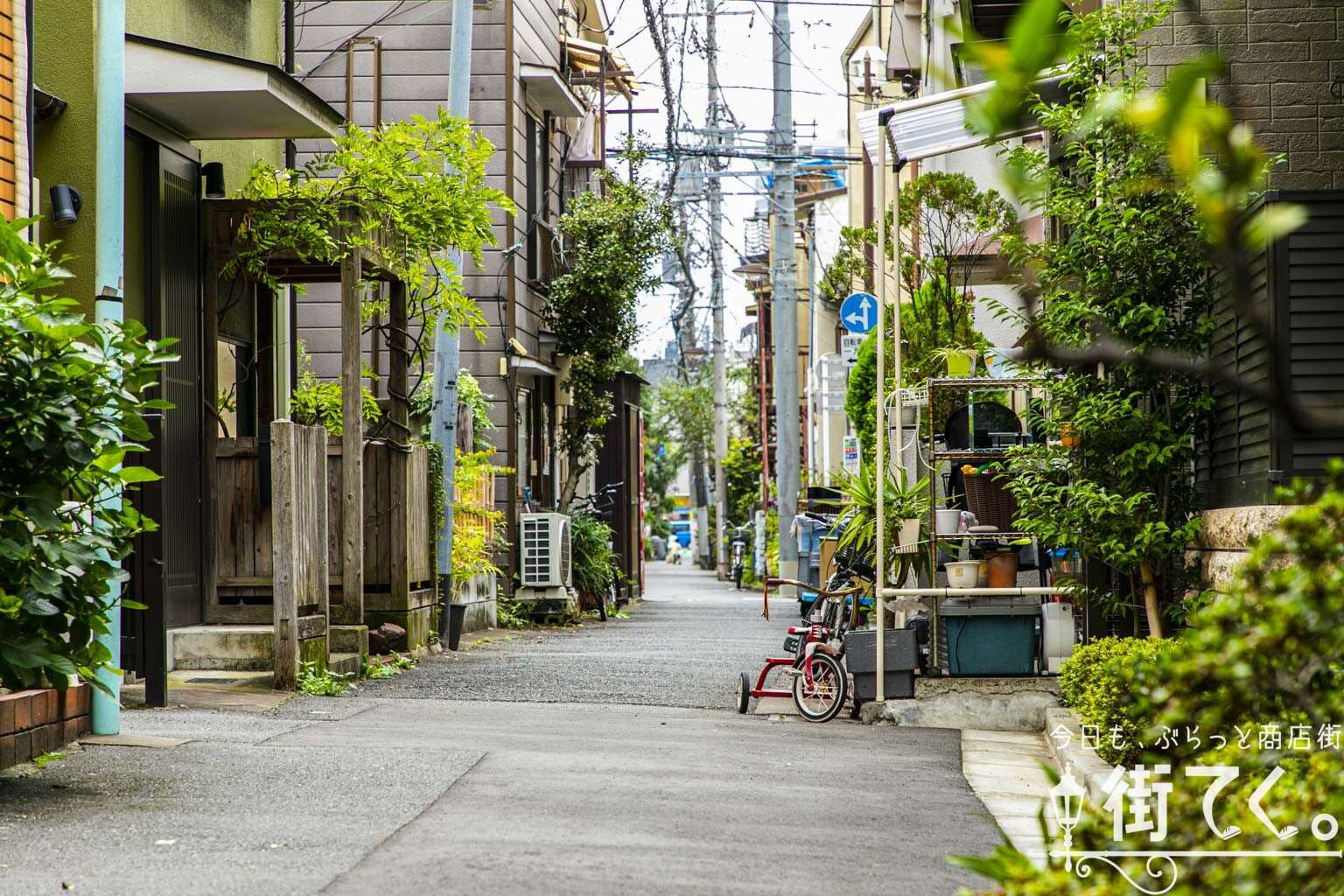 Living in Nezu, Tokyo: Quiet Old Tokyo Neighborhood Guide (2026)