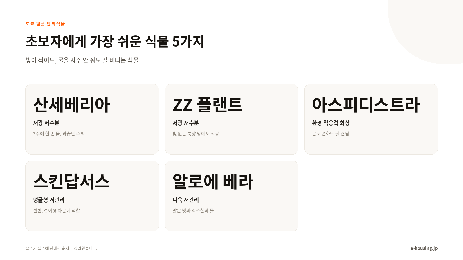 초보자에게 가장 쉬운 식물 5가지